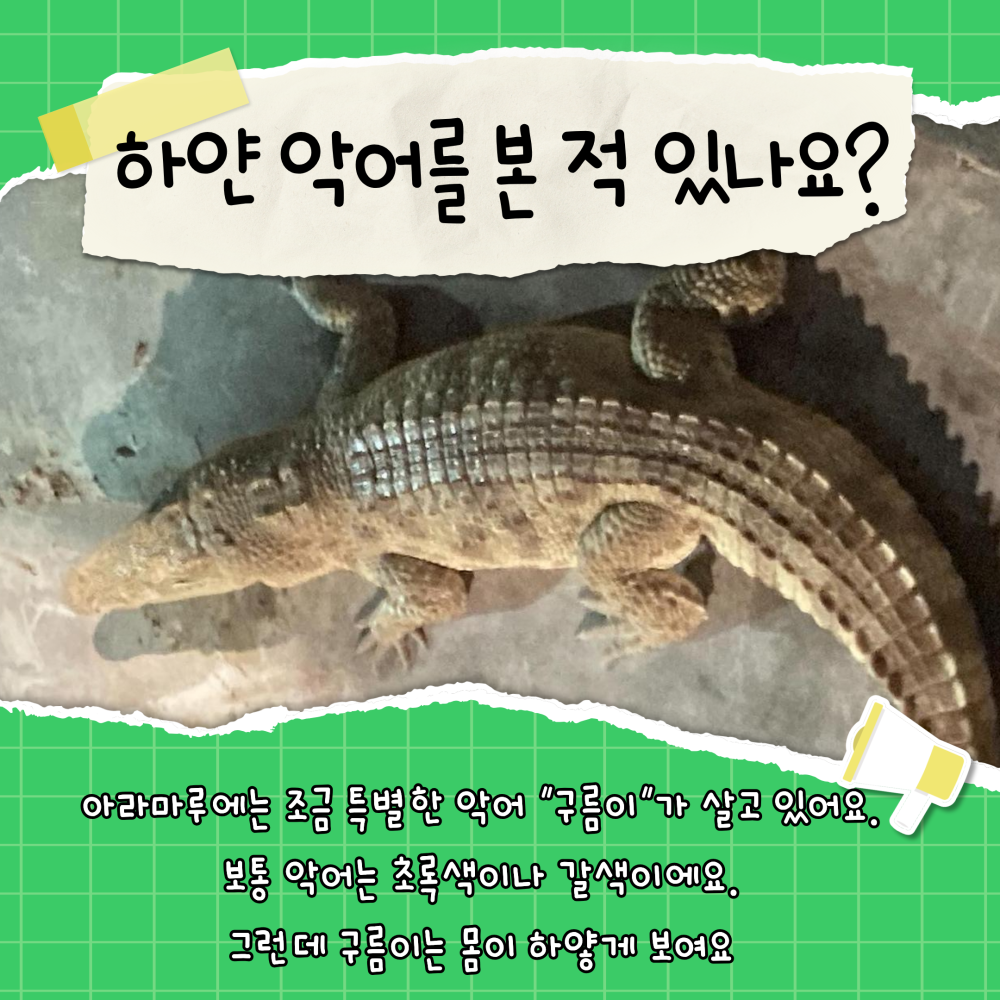 1d01832701779e8d763e8d616bfc902c_1774249905_3556.png